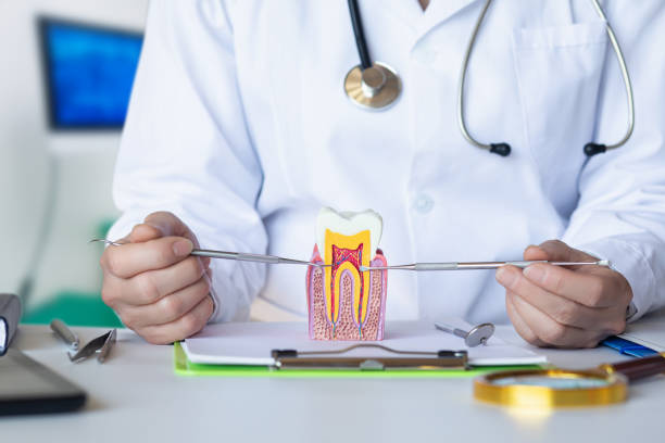 Best Emergency Treatment for Oral Infections in Uintah, UT